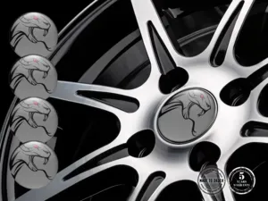 Hub Cap Sticker Style Turbo Burst X